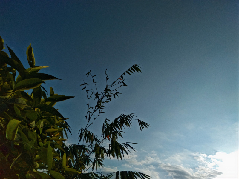 2 mẹo gi&uacute;p l&agrave;m sắc n&eacute;t h&igrave;nh ảnh nhanh ch&oacute;ng, kh&ocirc;ng cần đến Photoshop